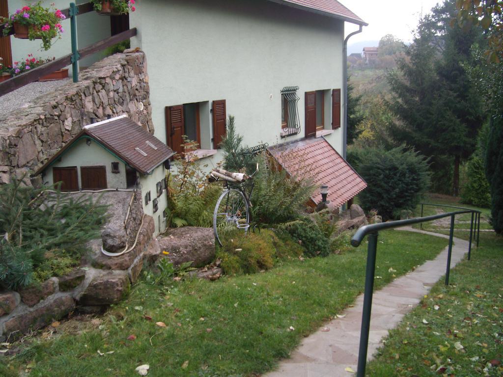Ferienwohnung Au Bon Logis Thannenkirch Exterior foto